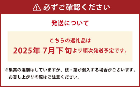 【2ヶ月毎6回 定期便】久住高原 手摘みブルーベリー 冷凍 500g 2袋 計6kg 小分け 栽培期間中農薬不使用 【2025年7月下旬より順次発送開始予定】