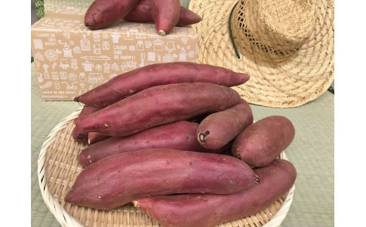 KBE-58　【先行予約】【令和7年11月発送】焼き芋好きのためのさつま芋　紅はるか5kg【茨城県共通返礼品・行方市産】