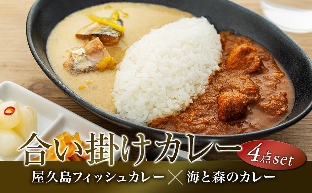 
【屋久島産トビウオ100％】屋久島フィッシュカレー＆屋久島海と森のカレー合い掛け4点セット
