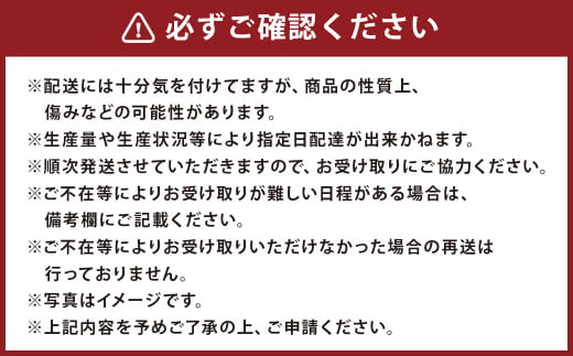 【事前受付】【2023年7月下旬発送開始】マンゴー (3個入り)  約700g