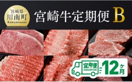 【定期便】宮崎牛12ヶ月定期便Ｂ【 国産九州産 肉 牛 宮崎県産 牛肉 黒毛和牛 ミヤチク 全12回 牛肉】