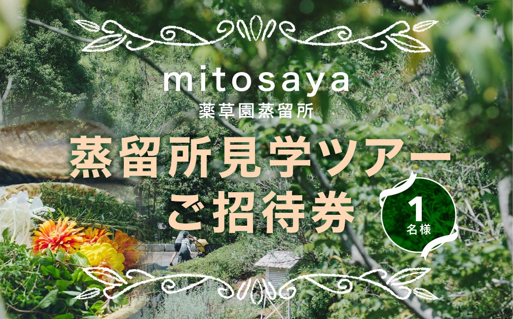 
                  MITOSAYA　蒸留所見学ツアーご招待券　1名様　W012504
                
