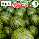 【ふるさと納税】植木産 熊本スイカ （祭ばやし） 7〜8kg前後 スイカ 果物 熊本産 九州産 フルーツ 送料無料 【2025年5月下旬～6月上旬発送】