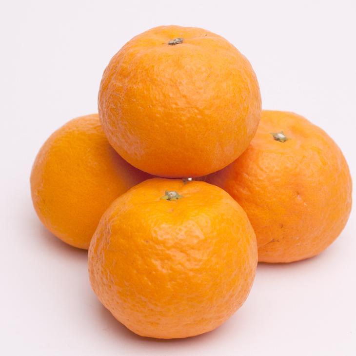 ［先行予約］厳選 カラマンダリン5kg+250g（傷み補償分）［南津海・なつみ］［希少な春柑橘］［みかんと同じように食べられます］［IKE67］