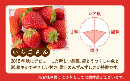 【R8年1月以降発送】こころの色×いちごさん 紅白いちごセット 計920g （こころの色220g×2パック、いちごさん240g×2パック） 【StrawberryFarm-K】 紅白いちご 希少 いち