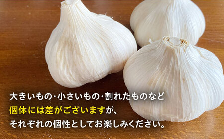 にんにく サイズ混合 約1.3kg【一ノ瀬農園】ニンニク ガーリック にんにく ニンニク ガーリック にんにく 九州 佐賀県 白石町 [IBQ001]
