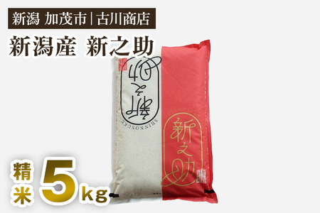 【令和7年産】新潟の新ブランド米「新之助」精米5kg 白米