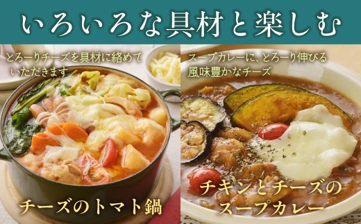 【3カ月毎3回】よつ葉北海道十勝　3種のチーズ 2種セット 2種類各3袋 計6袋 【 ふるさと納税 人気 おすすめ ランキング よつ葉 乳製品 贈答 プレゼント 贈り物 ギフト ごほうび セット 北海