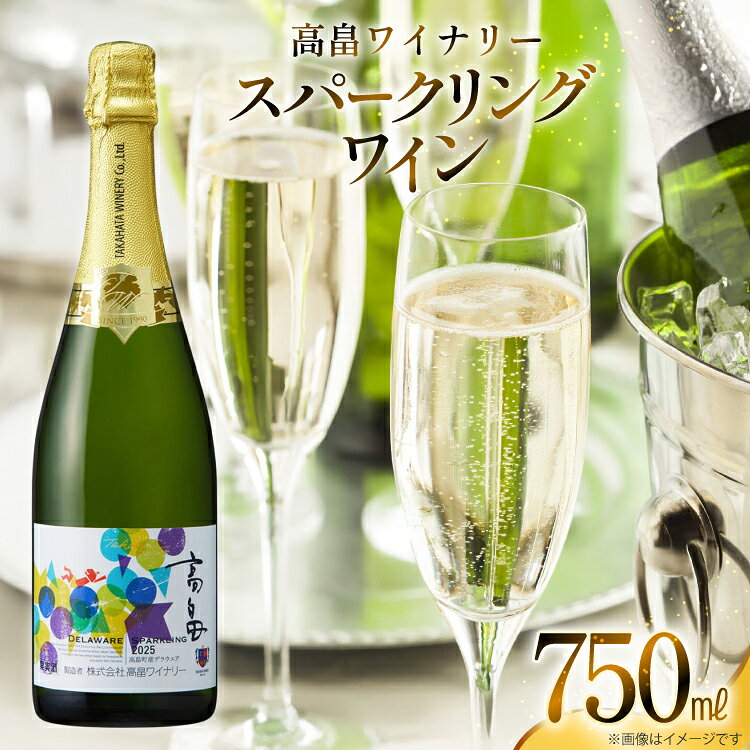 【ふるさと納税】 スパークリング 高畠ワイナリースパークリングワイン 750ml 1本 [小田部商店 山形県 高畠町 tk06ayt180155] 白ワイン やや辛口 デラウェア お酒 酒