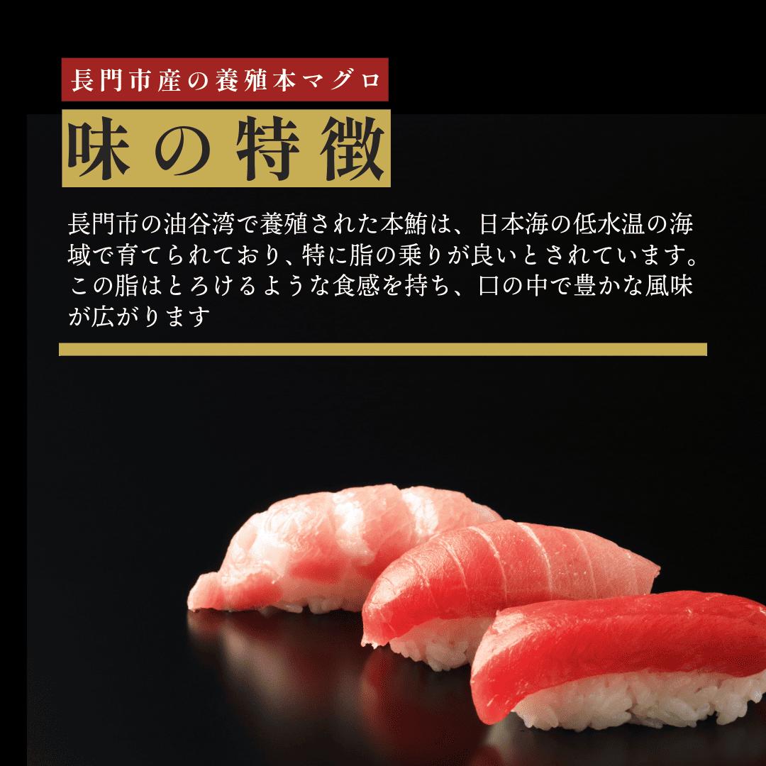 (10181)油谷産養殖本マグロ 中トロ柵 300g