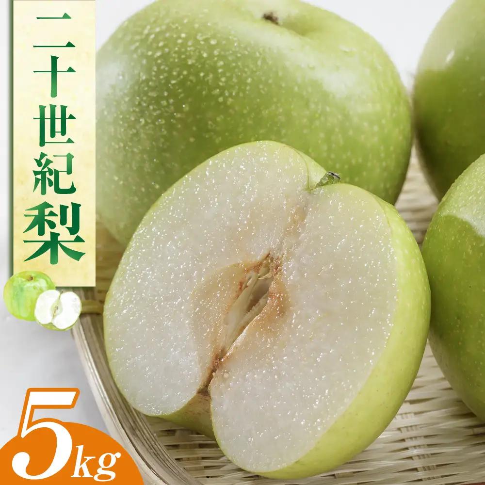 二十世紀 梨 5kg（ＪＡ）※2026年8月下旬～9月上旬頃に順次発送予定   梨