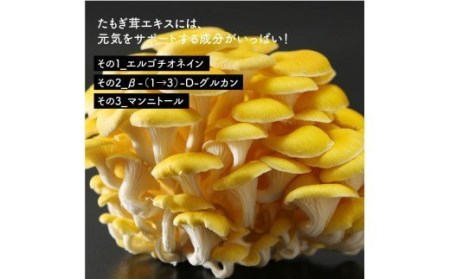 エルゴチオネイン含有 たもぎ茸濃縮エキスバイオゴッド 80cc×10袋入り NP1-142