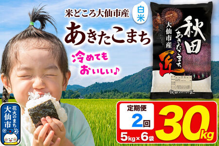 《定期便2ヶ月》米 あきたこまち【白米】30kg（5kg×6袋）秋田県大仙市産 精米 令和7年産
