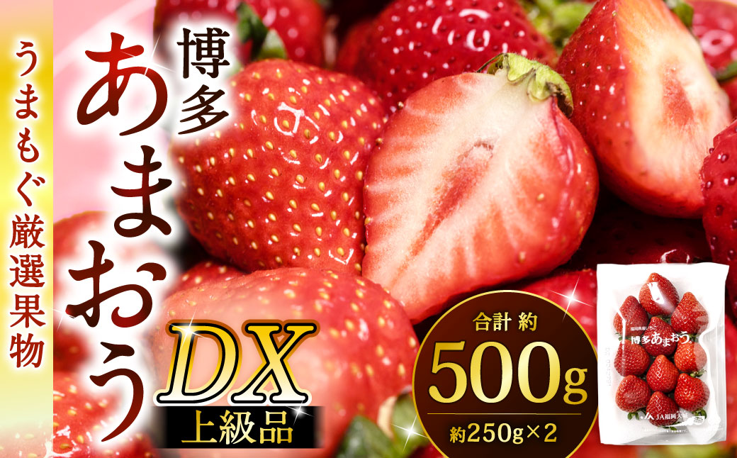 福岡県産特産品 うまもぐ厳選果物 福岡県産 博多あまおう DX上級品 約500g（約250g×2パック入り）【2025年12月発送】あまおう いちご 苺 イチゴ 果物 フルーツ