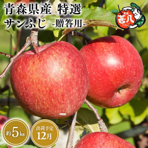 12月発送　特選　甚八りんごサンふじ5kg　【マルジンサンアップル　12月　青森県産　平川市　りんご　サンふじ　5kg　特選　贈答用】