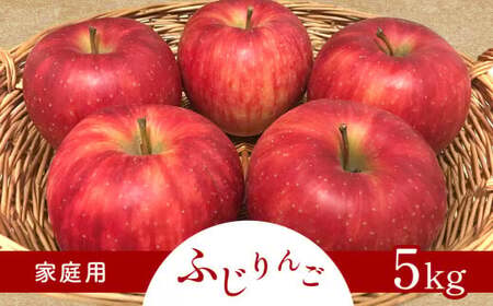 【2025年先行予約】訳あり りんご サンふじ 家庭用 約5kg｜ りんご りんご りんご りんご りんご