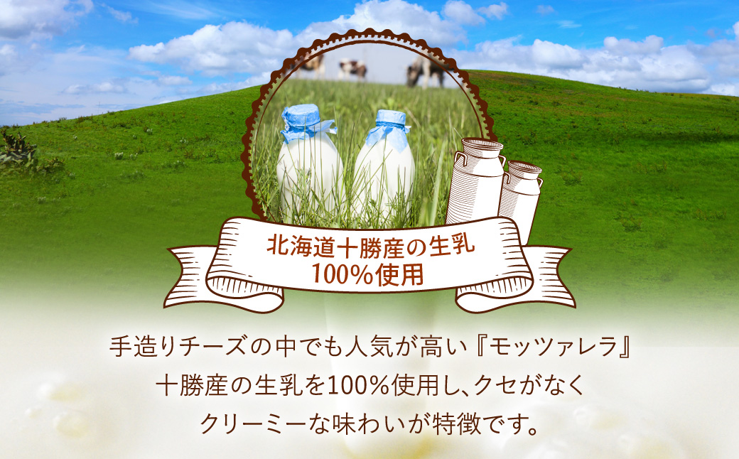 モッツァレラチーズひとくちタイプ 約500g