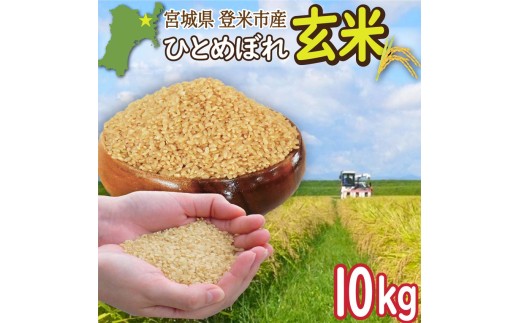 ＜先行予約！2025年9月末より順次発送予定＞≪令和7年産・新米≫  宮城県登米市産 ひとめぼれ 玄米 10kg お米 おこめ 米 白米 コメ ご飯 ごはん おにぎり お弁当 ブランド米【有限会社伊豆沼農産】tm406