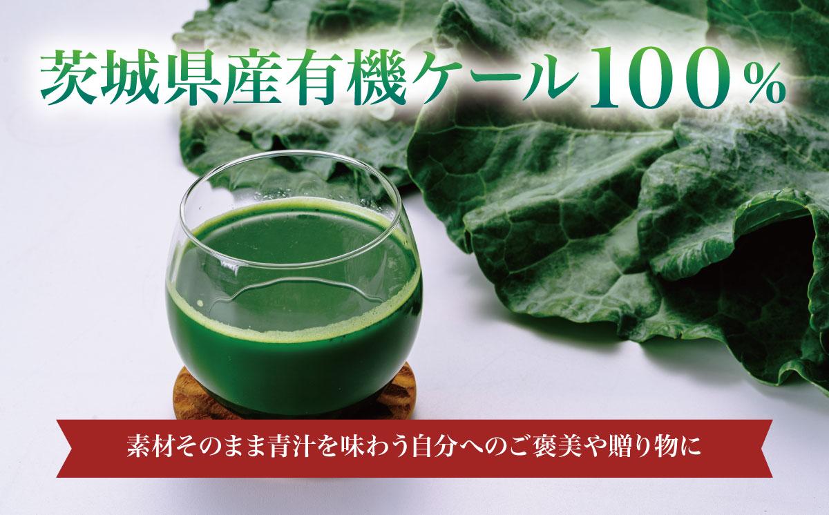 有機青汁百 100g × 30 パック ＜離島・沖縄配送不可＞【 茨城県 つくば市 飲料 ドリンク あおじる 青汁 健康  無添加 有機 オーガニック 】