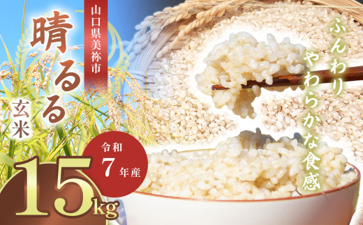 令和7年度産 新米 晴るる 玄米 15kg 先行予約 ＜ 2025年11月～より順次発送予定 ＞ ｜ 米 精米 新米 玄米 米 雑穀 お米 コメ 単一米 晴るる はるる  山口 美祢 秋吉台 15kg