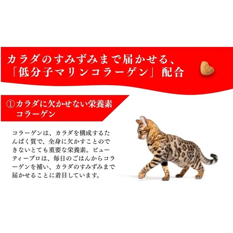 キャットフード ビューティープロ 下部尿路の健康維持 キャットフード
