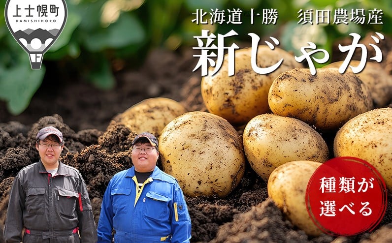 
            北海道産 新じゃが じゃがいも 5kg 種類が選べる 男爵 きたひめ ホッカイコガネ 北海道 上士幌町 須田農場 野菜 ジャガイモ 馬鈴薯 産地直送
          