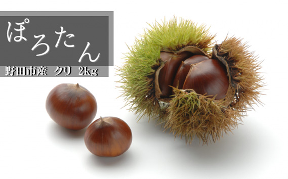 
No.305 千葉県野田市産　栗（ぽろたん） 2kg ／ くり フルーツ 甘い ほろほろ 柔らかい
