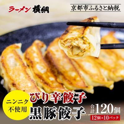 ふるさと納税 京都市 【ラーメン横綱】横綱の餃子はニンニク不使用!ぴり辛餃子・黒豚餃子 各5パックセット