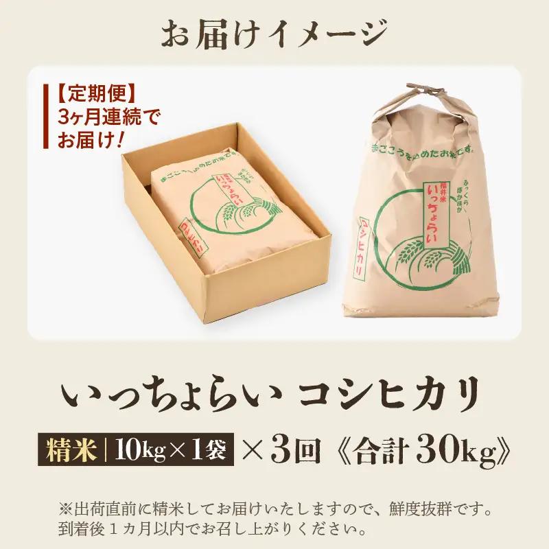 【先行予約】【令和8年産・新米】【一等米】《定期便3回》いっちょらい 精米 10kg × 3回（計30kg）／ 福井県産 ブランド米 コシヒカリ ご飯 白米 新鮮 大賞 受賞 新米 福井県あわら産 ※