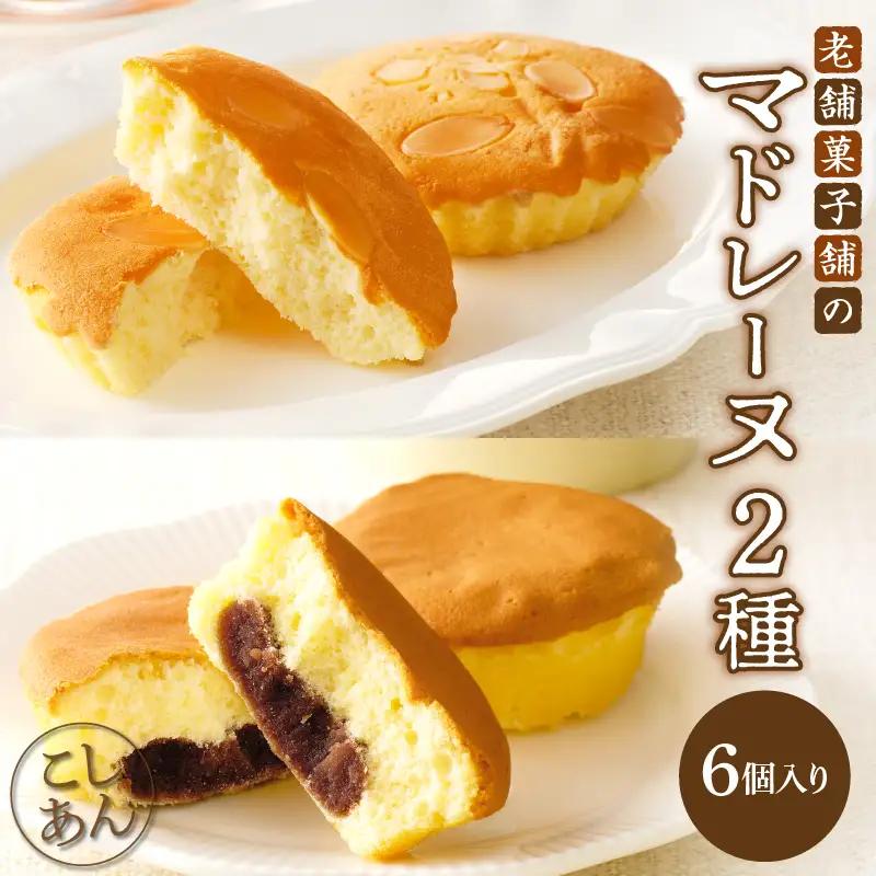 【2週間以内発送】老舗菓子舗のマドレーヌ2種セット「合計6個・個包装」 焼き菓子 スイーツ 詰め合わせ 洋菓子_T035-0205