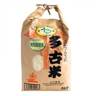 山口さんちの【令和7年産】多古米コシヒカリ(精米)5kg【配送不可地域：離島・沖縄県】
