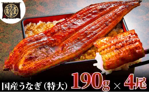 [№5695-1770]【期間限定9月30日までの特別価格！】うなぎ蒲焼 190g×4尾(760g) うなぎ ウナギ 鰻 蒲焼 蒲焼き冷凍 国産 大五 大五通商 静岡 島田市