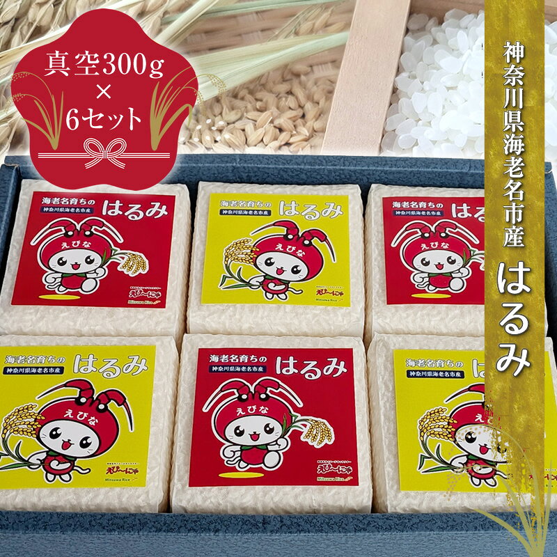 【ふるさと納税】 米 小分け 300g × 6個 1.8kg はるみ お米 こめ コメ ごはん ご飯 飯 白飯 精米 白米 ライス rice kome okome ブランド米 国産 特A 食料 真空パック 産地直送 プレゼント お取り寄せ 仕送り ギフト 人気 おすすめ 防災 備蓄 ミツワライス 神奈川 海老名