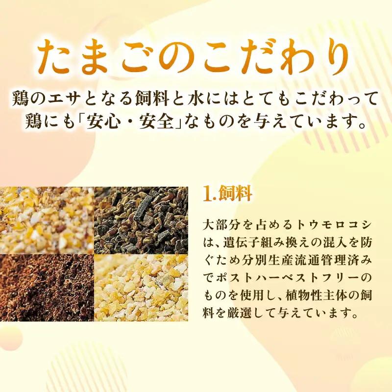 【6回定期便】桃太郎たまご 30個 たまご