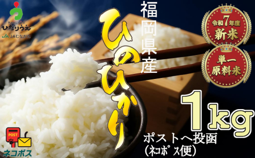 【令和7年産米】JAよりお届け！「ひのひかり」 1kg[G2307]