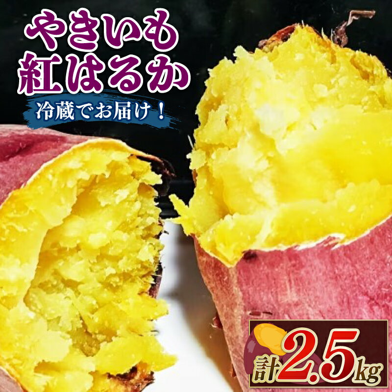 【ふるさと納税】 2027年先行予約 焼き芋 紅はるか 2.5kg 冷めても美味しい さつまいも 芋 おやつ お菓子 菓子 やきいも スイーツ 蜜 たっぷり カーボン釜 特産品 野菜 おすすめ つぐちゃん畑 新潟 新潟県 新発田産 新発田市 tsuguchan009