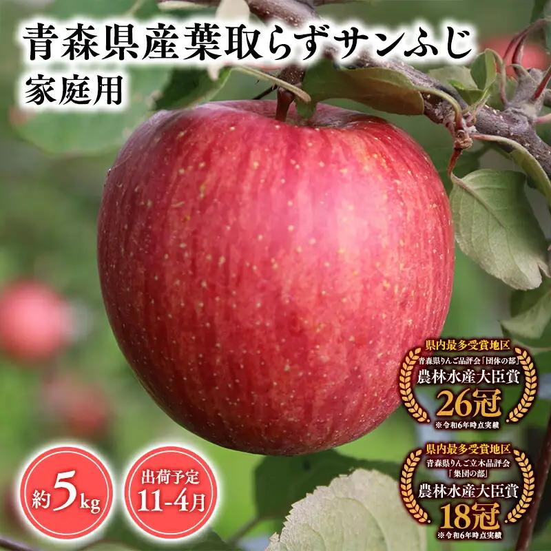 りんご 家庭用葉とらずサンふじ5ｋｇ りんご