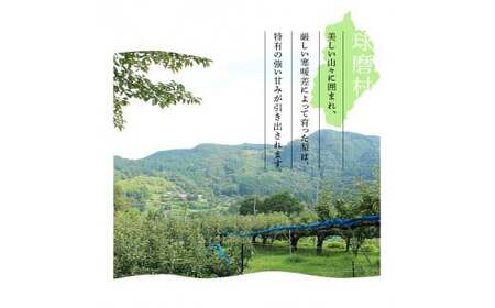 FKP9-684 【先行予約】一勝地梨 約5kg