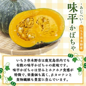 味平かぼちゃのアイスクリーム （130g×6個）アイス アイスクリーム かぼちゃ 味平かぼちゃ 冷菓 鹿児島県 いちき串木野 特産品【A-1812H】