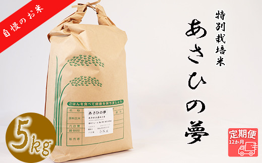 
【12か月定期便】垂井町産あさひの夢(5kg×12回）
