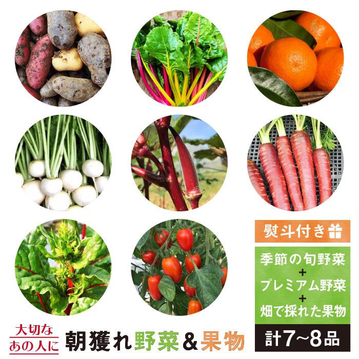 旬 野菜 + プレミアム 野菜 + 果物 (合計7〜8品 ）セット【熨斗付き】 糸島市 / オーガニックナガミツファーム [AGE022]