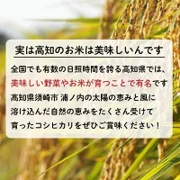 令和5年 新米 コシヒカリ 米 5kg 白米 こしひかり  高知 須崎産 産地直送