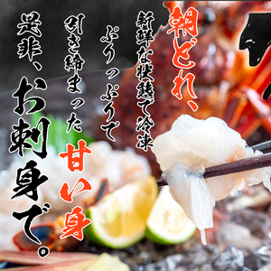 活き 伊勢海老 600g 以上 ( 1尾 から 3尾 ) 吉岡 ( サイズ 混合 えび エビ いせえび 高級 鮮魚 イセエビ 海鮮 魚介 刺身 焼き物 汁物 ギフト 贈答 贈り物 祝い 歳暮 中元 高