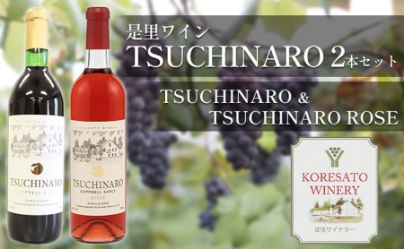 是里 ワイン TSUCHINARO 2本 セット 岡山 赤磐市 赤ワイン お酒 ワイン