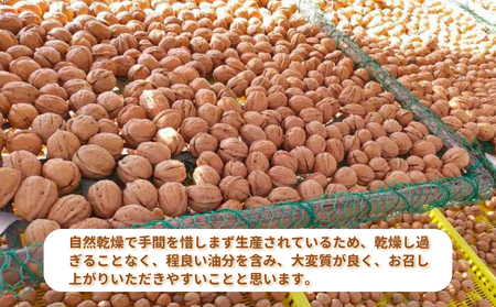 信濃くるみ 殻付き 600g（中サイズ） 【長野県東御市産ブランド】NHKでも紹介♪ 令和7年産 新物 国産※2025年11月中旬以降発送（月、火、金曜日発送限定、曜日、日付指定不可）