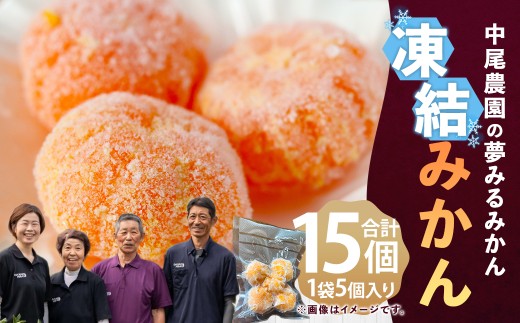 中尾農園の夢みるみかん 凍結みかん3Sサイズ5個入×3袋 【数量限定】 みかん ミカン 蜜柑 柑橘 小玉 凍結みかん フルーツ くだもの 果物 ビタミン豊富 国産 月の引力が見える町 さがみかん 太良みかん 夢みるみかん おいしい 減農薬 濃厚 ギフト 贈答品 贈り物 冷凍 佐賀県 太良町 M110x1