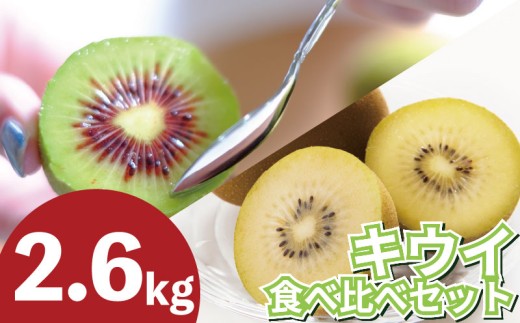訳あり キウイフルーツ 食べ比べ セット2.6kg 先行予約2026年10月上旬～ ゴールデンキウイ 紅妃 レインボーレッド キウイ 国産キウイフルーツ キウイフルーツゼリー キウイフルーツジュース キウイフルーツジャム キウイフルーツタルト キウイフルーツビタミンC キウイフルーツ追熟 キウイフルーツ訳あり 果物 キウイフルーツギフト プレゼント 贈答 送料無料 徳島県 吉野川市 くゆな農園
