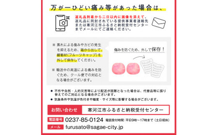 令和8年産 大きな すもも 「秋姫」 1.5kg（9 - 12玉） 2026年産 山形県産【2026年9月中旬頃から9月末頃発送予定】※ 配送不可 沖縄・離島　012-B-MM020