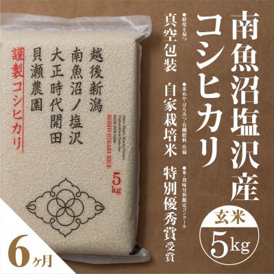 ふるさと納税 南魚沼市 【毎月定期便】南魚沼塩沢産コシヒカリ「貝瀬農園米」玄米5kg全6回