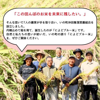 ふるさと納税 いの町 によどブルー米 5kg×2袋 |  | 03
